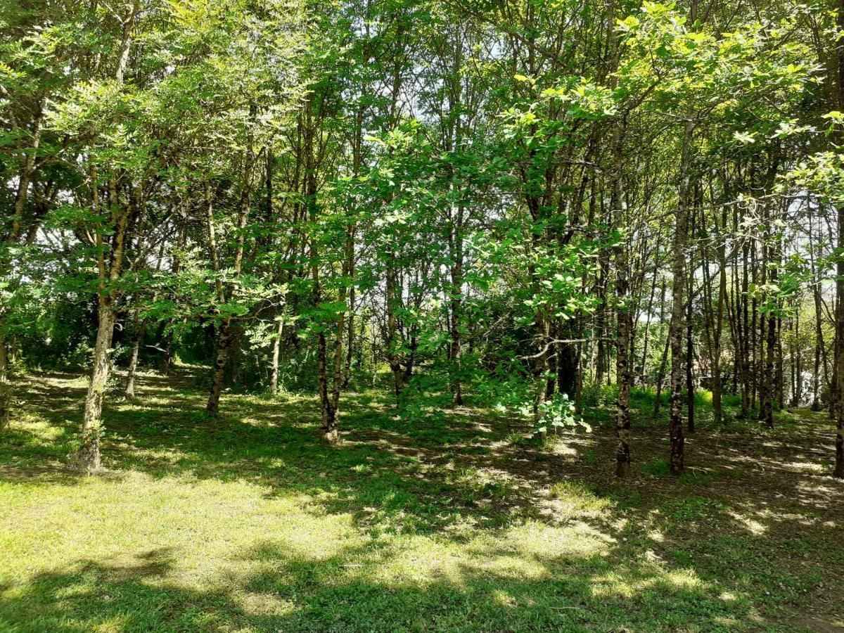 La Villa Le Petit Bois, Pres Rocamadour, Padirac Lavergne  Экстерьер фото